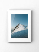 Carregar imagem no visualizador da galeria, "Whale head"