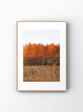 Carregar imagem no visualizador da galeria, "A-Line"