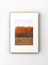 Carregar imagem no visualizador da galeria, "A-Line"