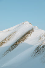 Carregar imagem no visualizador da galeria, "Brulee"