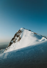 Carregar imagem no visualizador da galeria, "Whale head"