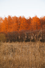 Carregar imagem no visualizador da galeria, "A-Line"