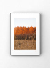 Carregar imagem no visualizador da galeria, "A-Line"