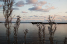 Carregar imagem no visualizador da galeria, "Memory Lane"