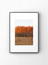 Carregar imagem no visualizador da galeria, "A-Line"