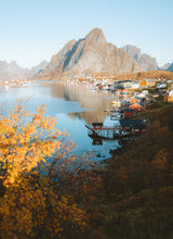 โหลดรูปภาพลงในเครื่องมือใช้ดูของ Gallery "Quiet morning-N"